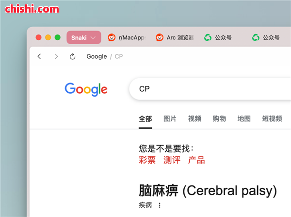 功能强大的Dia浏览器 可能活不了太久 第6张